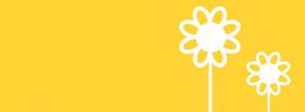 yellow white flowers cover yellow white flowers facebook cover