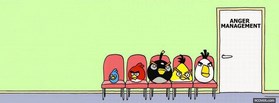 Angry Birds facebook cover