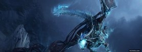 World Of Warcraft Dragon facebook cover