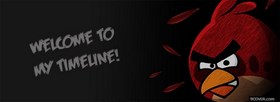 Welcome Timeline Angry Birds facebook cover