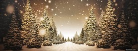 Beautiful Christmas Road facebook cover