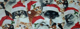 Christmas Cutes Cats facebook cover