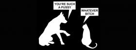 dog talking to cat animals cover dog talking to cat animals facebook cover