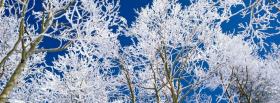 nature lovely trees in the winter cover nature lovely trees in the winter facebook cover