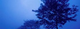 blue skies and trees cover blue skies and trees facebook cover