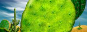 flat cactus nature cover flat cactus nature facebook cover