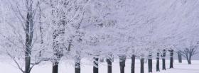 white winter trees nature cover white winter trees nature facebook cover