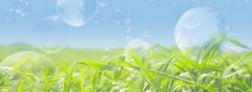 bubbles grass creative cover bubbles grass creative facebook cover
