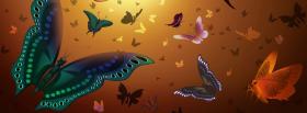butterflies creative cover butterflies creative facebook cover