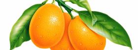 citrus fruits cover citrus fruits facebook cover